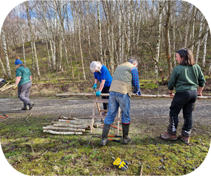 Country parks team chop up logs