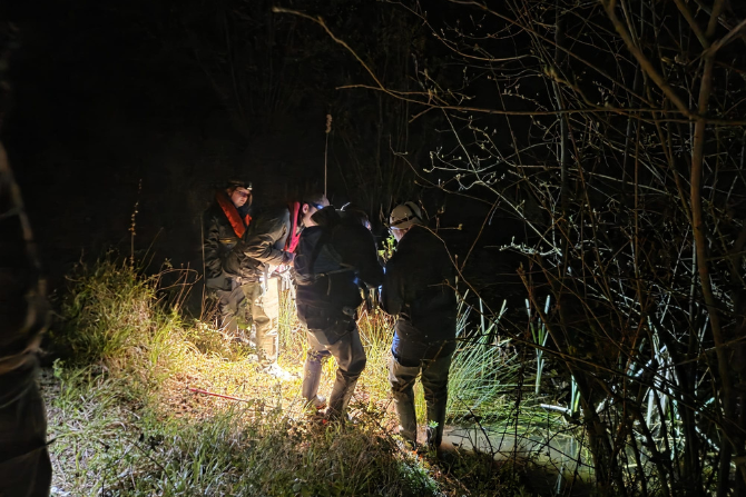 Lamping for newts
