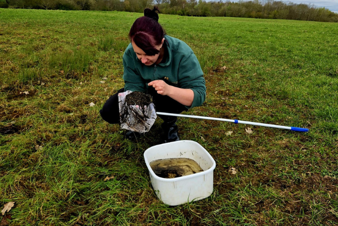 Ranger Courtenay surveying wetland scrape