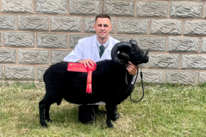 A man and a black Hebridean sheep with a rosette and certificate