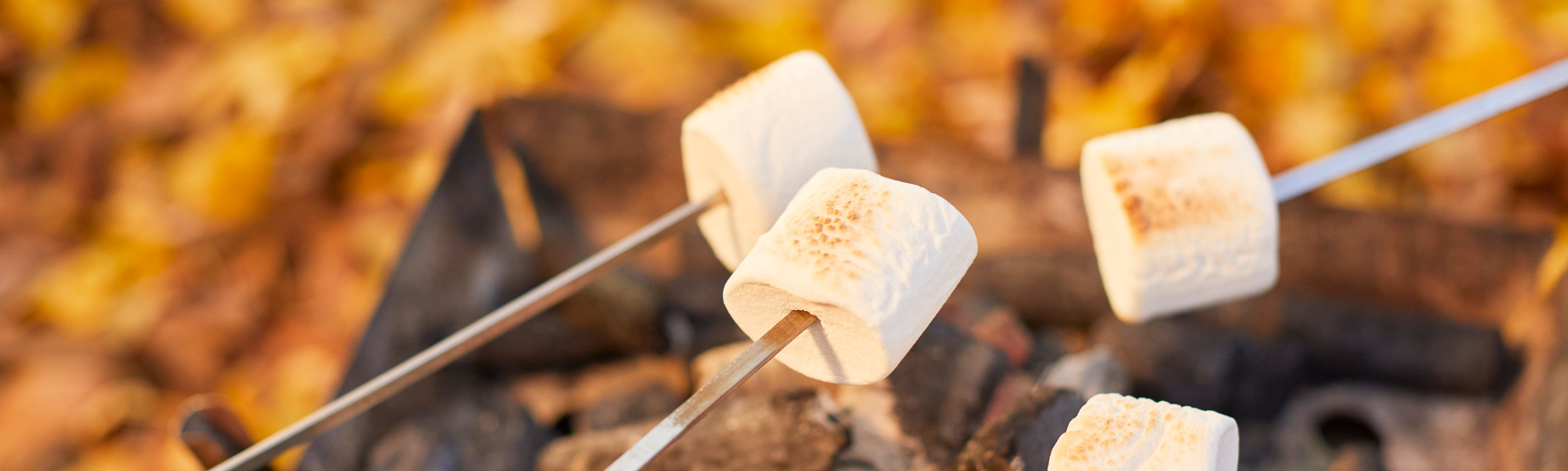 Toasting marshmallows over a fire pit.