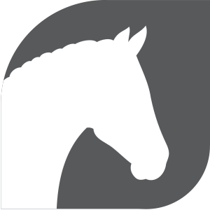 Horse riding icon