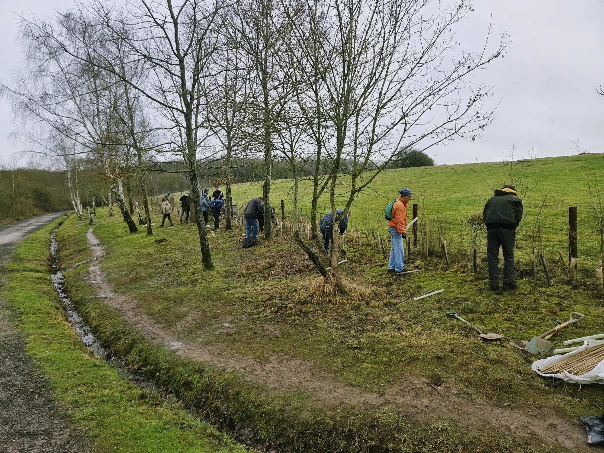 Tree planting at Ryton Pools