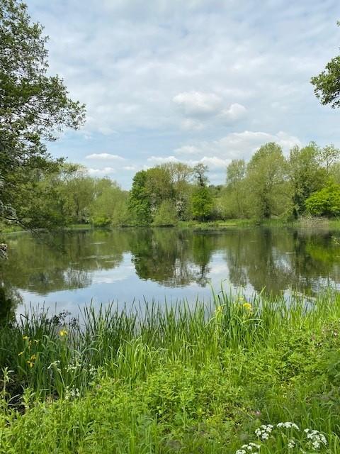 Photograph showing lake at Kingsbury Water Park, surrounded by green foliage