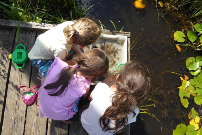 Three young children pond dipping.