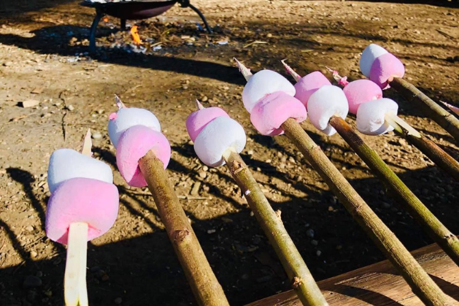 Marshmallows over a fire.