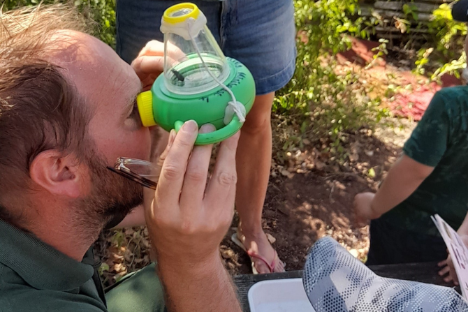 A person looking at a bug inside a magnifying device.