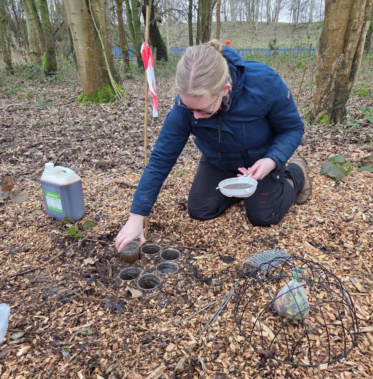 Esther sets beetle traps