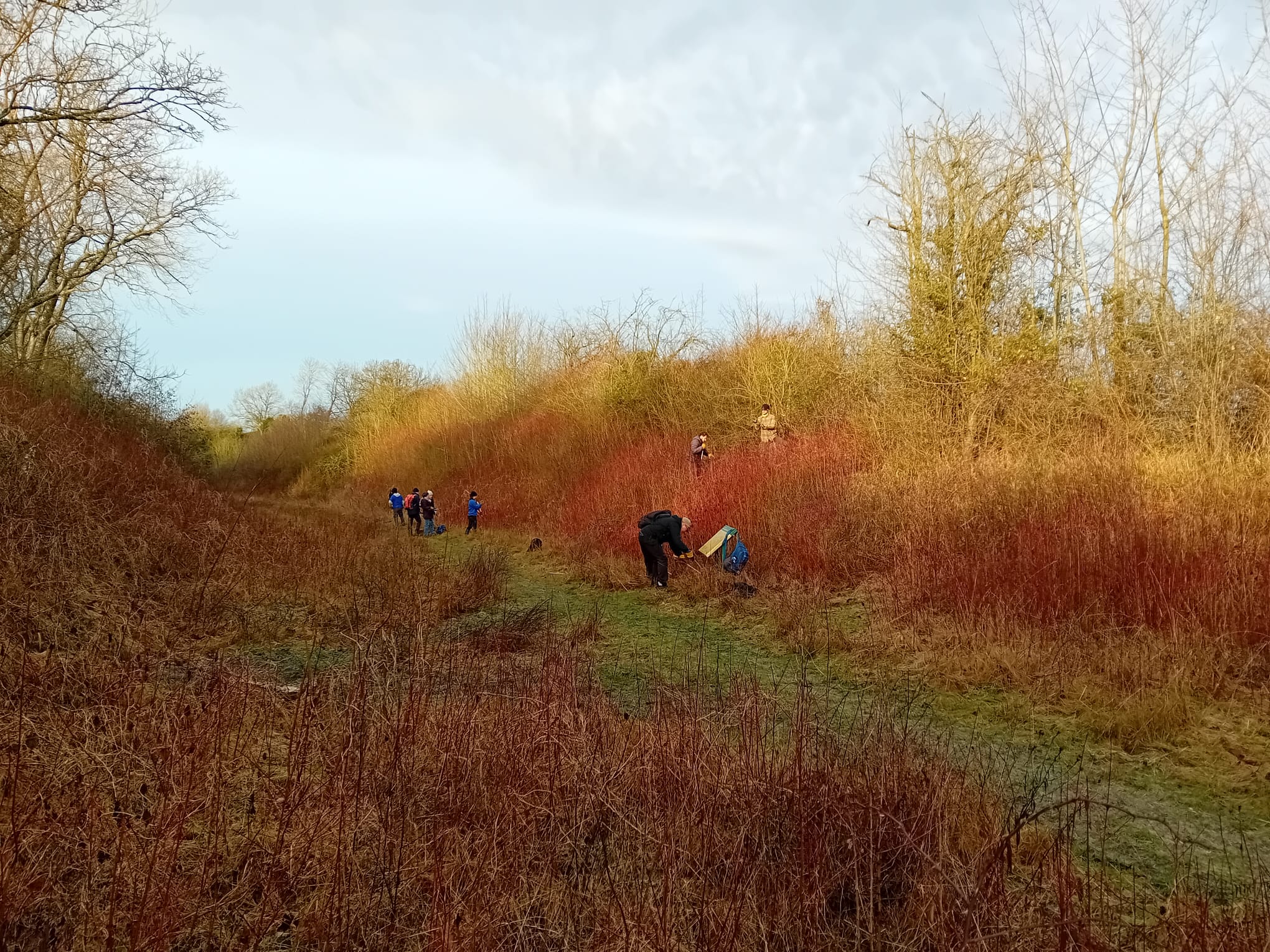 Stockton Cutting conservation