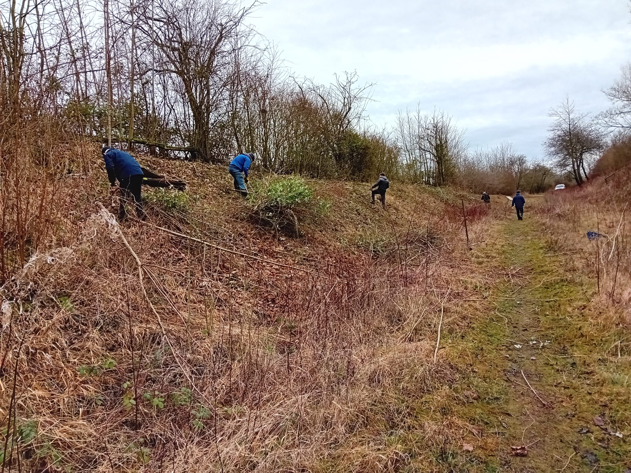 Stockton Cutting work