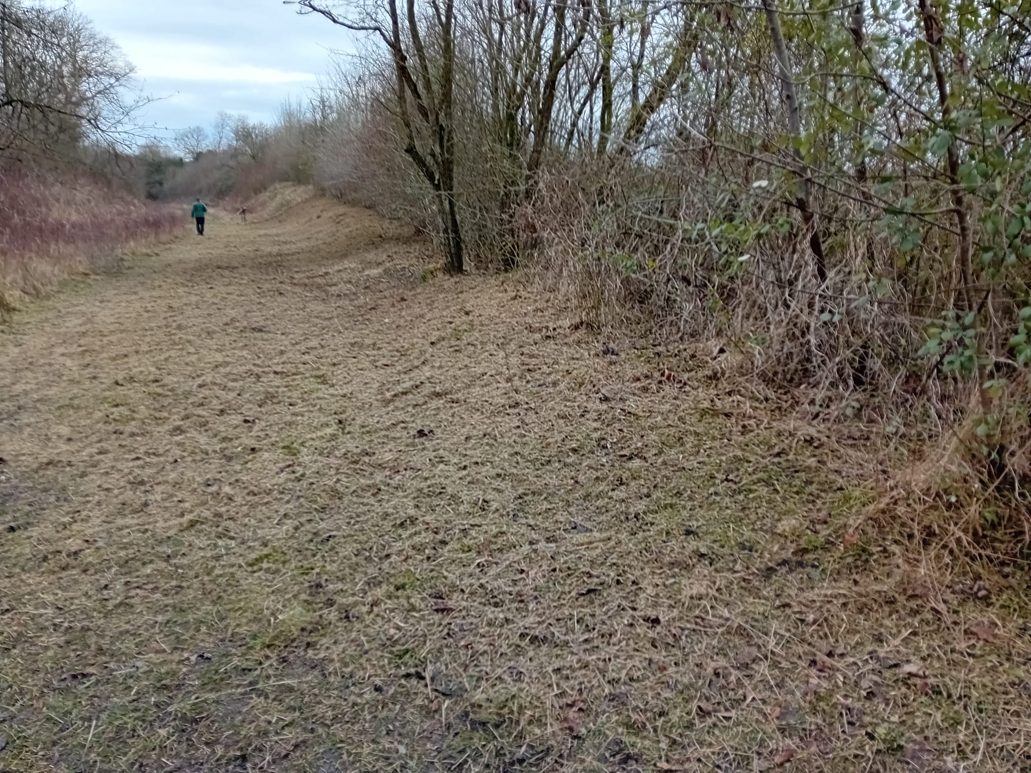 Stockton Cutting with cleared scrub