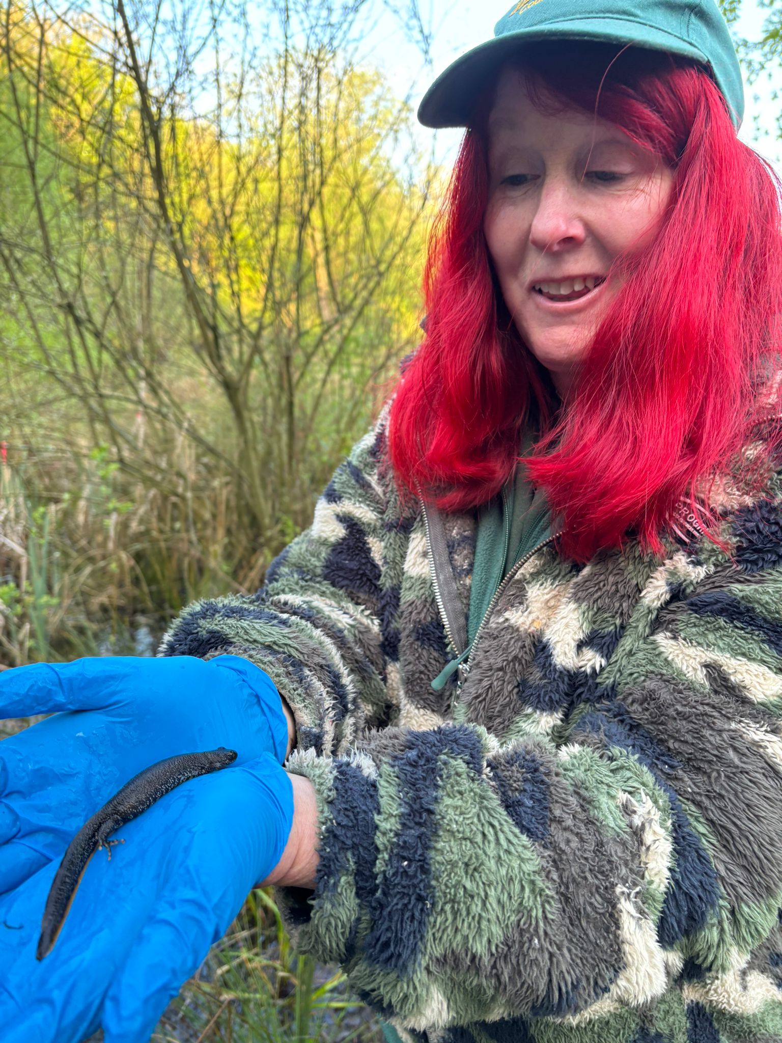 Ranger Wendy holding a Great Crested Newt (with supervision!)