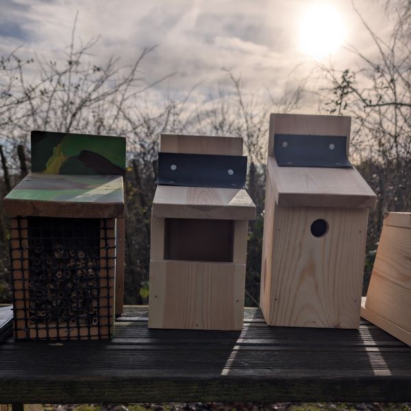 homemade bird boxes