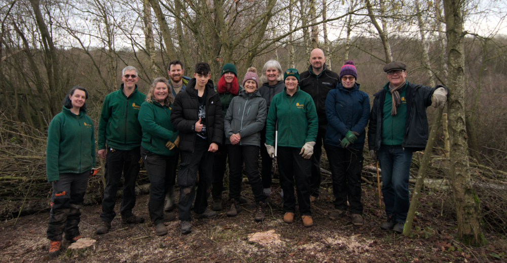 rangers and wider team work on minibeast wood